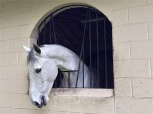 Hope Hall Farm