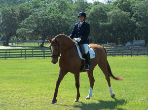 Hope Hall Farm