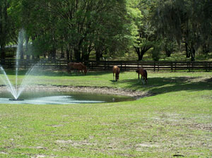 Hope Hall Farm