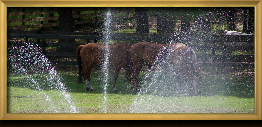 Hope Hall Farm