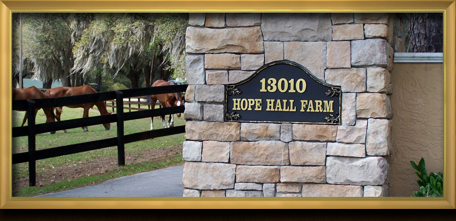 Hope Hall Farm