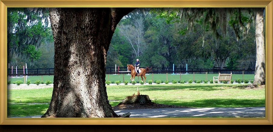 Hope Hall Farm